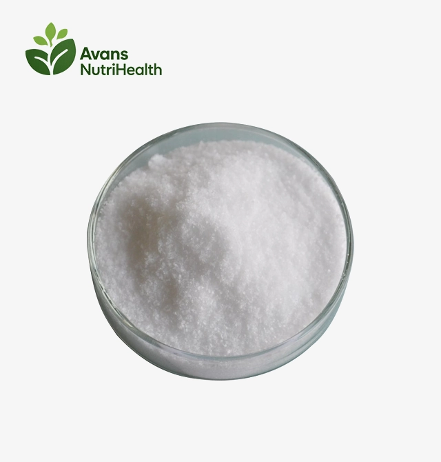 Citicoline Powder